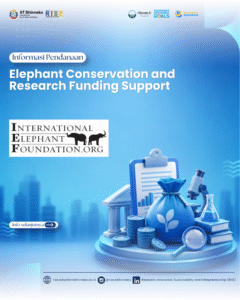 Elephant Conservation and Research Funding Support Program 2027: Hibah Pendanaan Konservasi dan Penelitian Gajah Dunia